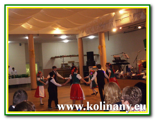 Fotogaléria 2013.01.26. - Veľký Cetín - Podzoborský maďarský ples (16) 2013.01.26. - Veľký Cetín - Podzoborský maďarský ples